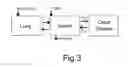 Fig. 04 - Aerosol fluoroquinolone formulations for improved pharmacokinetics