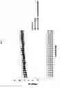 Fig. 02 - Pharmaceutical composition for prevention, treatment or delay of Alzheimer's disease or dementia containing G protein-coupled receptor 19 agent as active ingredient