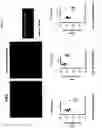 Fig. 06 - Pharmaceutical composition for prevention, treatment or delay of Alzheimer's disease or dementia containing G protein-coupled receptor 19 agent as active ingredient