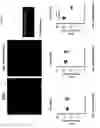 Fig. 07 - Pharmaceutical composition for prevention, treatment or delay of Alzheimer's disease or dementia containing G protein-coupled receptor 19 agent as active ingredient