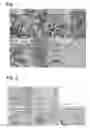 Fig. 02 - COMPOSITION FOR SUPPRESSING MUSCULAR FATTY CHANGE