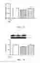 Fig. 02 - Compositions and methods for treating striated muscle injury, treating striated muscle atrophy and/or for promoting striated muscle growth