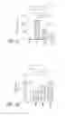 Fig. 26 - High telomerase activity bone marrow mesenchymal stem cells, methods of producing the same and pharmaceuticals and treatment methods based thereon