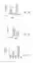 Fig. 29 - High telomerase activity bone marrow mesenchymal stem cells, methods of producing the same and pharmaceuticals and treatment methods based thereon