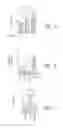 Fig. 32 - High telomerase activity bone marrow mesenchymal stem cells, methods of producing the same and pharmaceuticals and treatment methods based thereon
