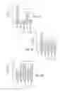 Fig. 35 - High telomerase activity bone marrow mesenchymal stem cells, methods of producing the same and pharmaceuticals and treatment methods based thereon