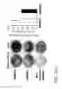 Fig. 40 - High telomerase activity bone marrow mesenchymal stem cells, methods of producing the same and pharmaceuticals and treatment methods based thereon