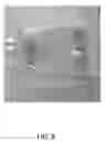 Fig. 08 - VIABLE LYOPHILIZED COMPOSITIONS DERIVED FROM HUMAN TISSUES AND METHODS OF MAKING THE SAME