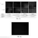 Fig. 12 - VIABLE LYOPHILIZED COMPOSITIONS DERIVED FROM HUMAN TISSUES AND METHODS OF MAKING THE SAME