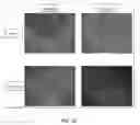 Fig. 24 - VIABLE LYOPHILIZED COMPOSITIONS DERIVED FROM HUMAN TISSUES AND METHODS OF MAKING THE SAME