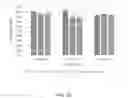 Fig. 25 - VIABLE LYOPHILIZED COMPOSITIONS DERIVED FROM HUMAN TISSUES AND METHODS OF MAKING THE SAME