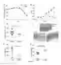 Fig. 15 - Lactococcus lactis producing TSLP or IL-25 and their uses as probiotics and therapeutics