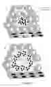 Fig. 02 - THERAPEUTIC COMPOSITIONS AND METHODS OF USE FOR TREATING CANCER