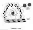 Fig. 03 - THERAPEUTIC COMPOSITIONS AND METHODS OF USE FOR TREATING CANCER