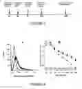 Fig. 06 - THERAPEUTIC COMPOSITIONS AND METHODS OF USE FOR TREATING CANCER