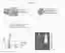 Fig. 20 - Female menopause alleviation use of composition containing composite extract of red clover and pomegranate as active ingredient