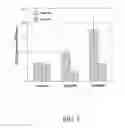 Fig. 06 - Compositions and methods for the treatment of orthopedic ailments