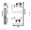 Fig. 02 - CD5 chimeric antigen receptor for adoptive T cell therapy