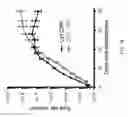 Fig. 03 - CD5 chimeric antigen receptor for adoptive T cell therapy