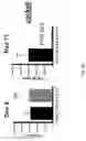 Fig. 28 - CD5 chimeric antigen receptor for adoptive T cell therapy