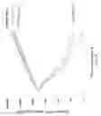 Fig. 33 - CD5 chimeric antigen receptor for adoptive T cell therapy