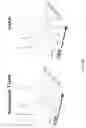Fig. 37 - CD5 chimeric antigen receptor for adoptive T cell therapy