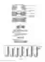 Fig. 02 - COMPOSITIONS AND METHODS FOR SPINAL CORD REGENERATION