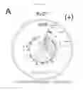 Fig. 13 - Compositions and methods of treating neurological disorder and stress-induced conditions