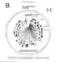 Fig. 14 - Compositions and methods of treating neurological disorder and stress-induced conditions