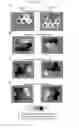 Fig. 24 - Compositions and methods of treating neurological disorder and stress-induced conditions
