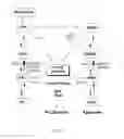 Fig. 34 - Compositions and methods of treating neurological disorder and stress-induced conditions