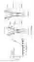 Fig. 09 - NUCLEIC ACID CONSTRUCT FOR EXPRESSING MORE THAN ONE CHIMERIC ANTIGEN RECEPTOR