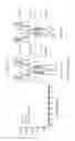 Fig. 10 - NUCLEIC ACID CONSTRUCT FOR EXPRESSING MORE THAN ONE CHIMERIC ANTIGEN RECEPTOR