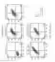 Fig. 21 - NUCLEIC ACID CONSTRUCT FOR EXPRESSING MORE THAN ONE CHIMERIC ANTIGEN RECEPTOR