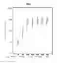 Fig. 08 - IMMUNOGENIC COMPOSITION FOR USE IN THERAPY