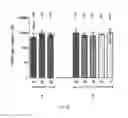 Fig. 06 - Immunogenic composition