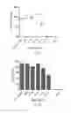 Fig. 08 - Immunogenic composition