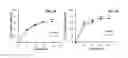 Fig. 04 - Method of Increasing Radiation Sensitivity of Tumor Cells