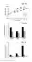 Fig. 08 - Method of Increasing Radiation Sensitivity of Tumor Cells