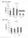 Fig. 12 - Lipid compositions