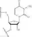 Fig. 78 - Lipid compositions