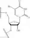 Fig. 79 - Lipid compositions