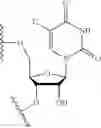 Fig. 80 - Lipid compositions