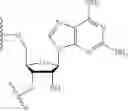 Fig. 81 - Lipid compositions