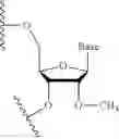 Fig. 83 - Lipid compositions