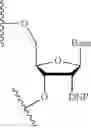 Fig. 85 - Lipid compositions