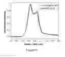 Fig. 06 - Injectable and stable hydrogels with dynamic properties modulated by biocompatible catalysts