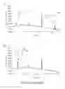 Fig. 08 - Hydrazinyl-indole compounds and methods for producing a conjugate