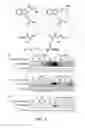 Fig. 09 - Hydrazinyl-indole compounds and methods for producing a conjugate