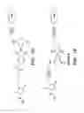 Fig. 04 - LIGAND-TARGETED MOLECULES AND METHODS THEREOF